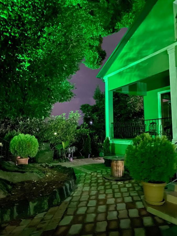 מחינג'אורי Apartment Green House מראה חיצוני תמונה