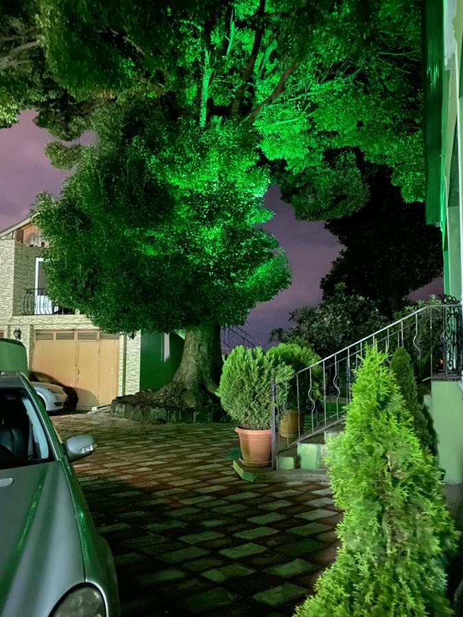מחינג'אורי Apartment Green House מראה חיצוני תמונה