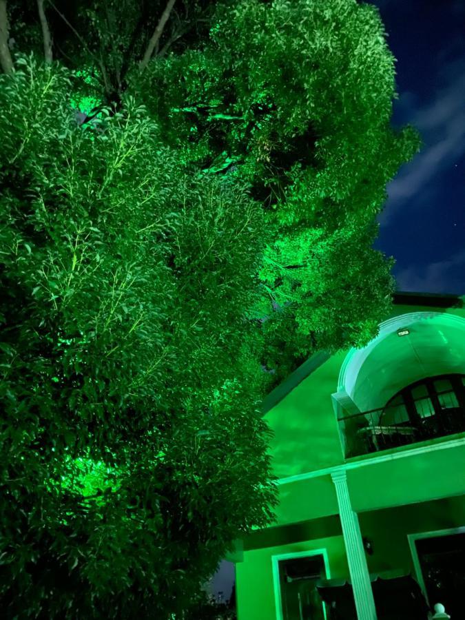 מחינג'אורי Apartment Green House מראה חיצוני תמונה