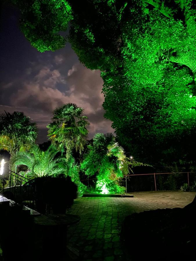 מחינג'אורי Apartment Green House מראה חיצוני תמונה