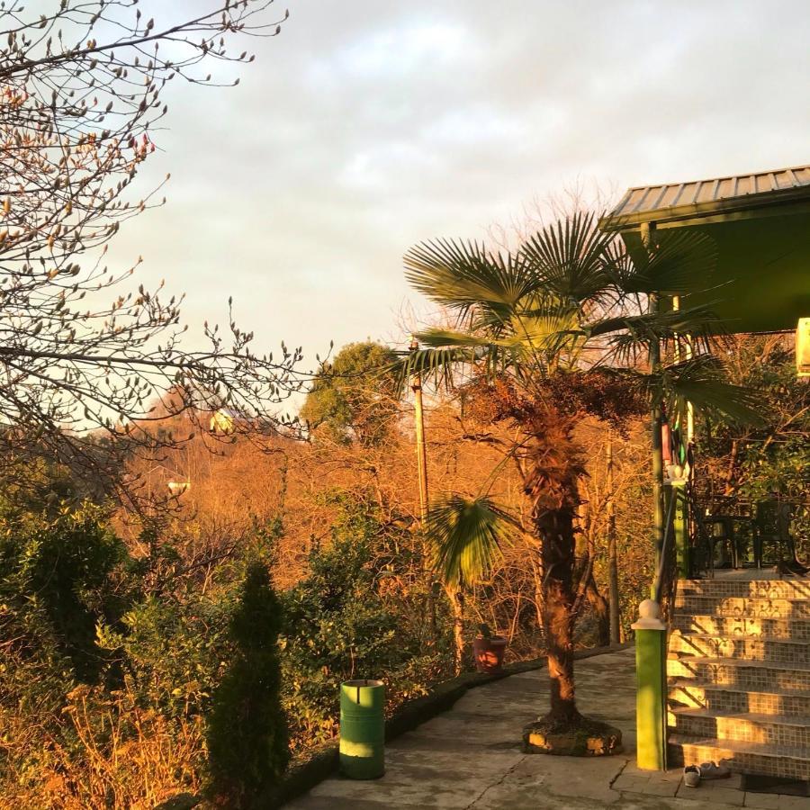 מחינג'אורי Apartment Green House מראה חיצוני תמונה