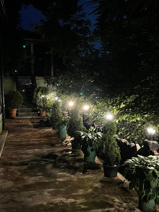מחינג'אורי Apartment Green House מראה חיצוני תמונה