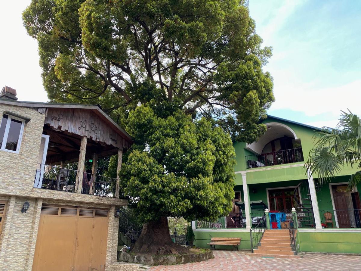 מחינג'אורי Apartment Green House מראה חיצוני תמונה