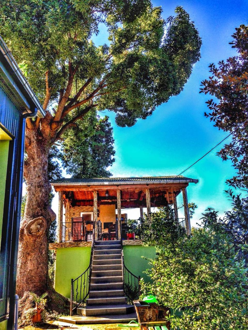 מחינג'אורי Apartment Green House מראה חיצוני תמונה