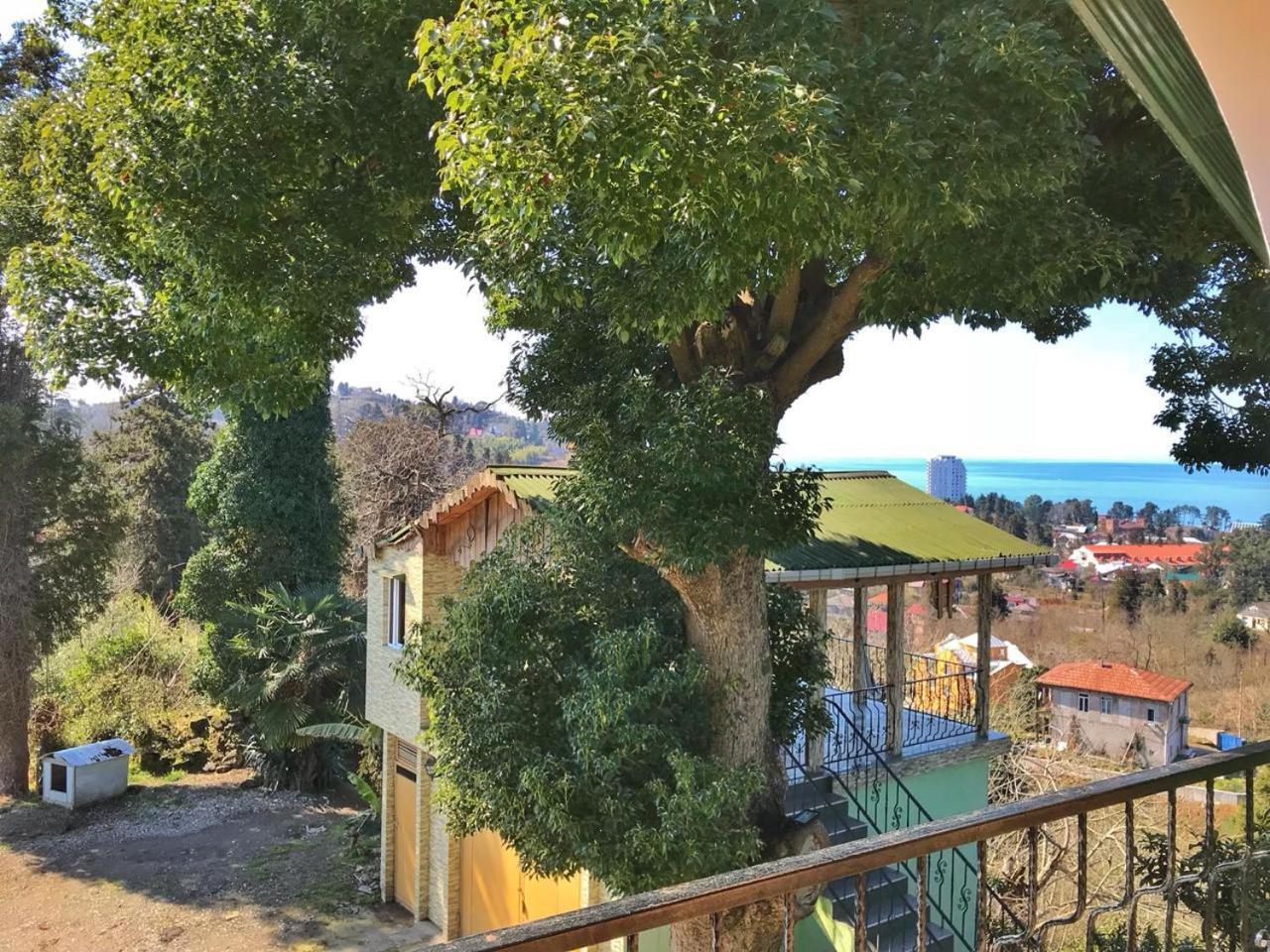 מחינג'אורי Apartment Green House מראה חיצוני תמונה